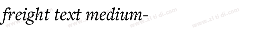 freight text medium字体转换 freight text medium字体转换